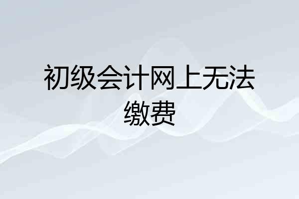 初级会计网上无法缴费