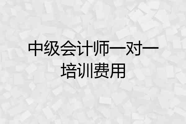中级会计师一对一培训费用