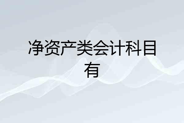 净资产类会计科目有