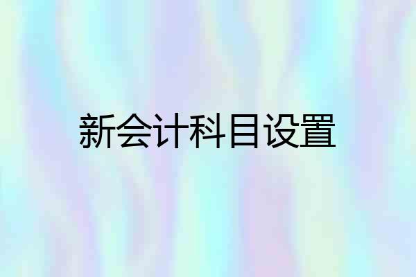 新会计科目设置