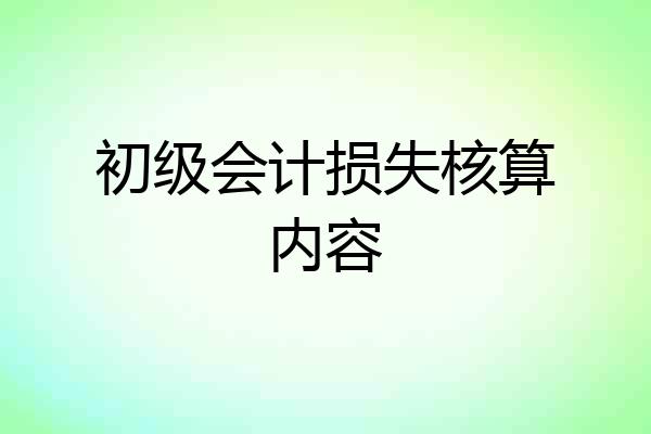 初级会计损失核算内容