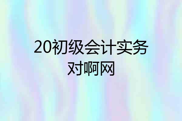 20初级会计实务对啊网