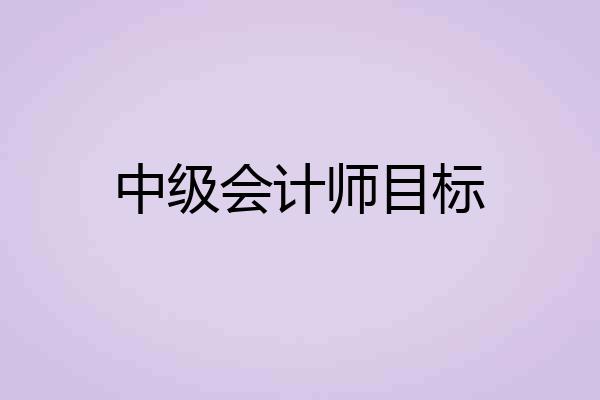 中级会计师目标