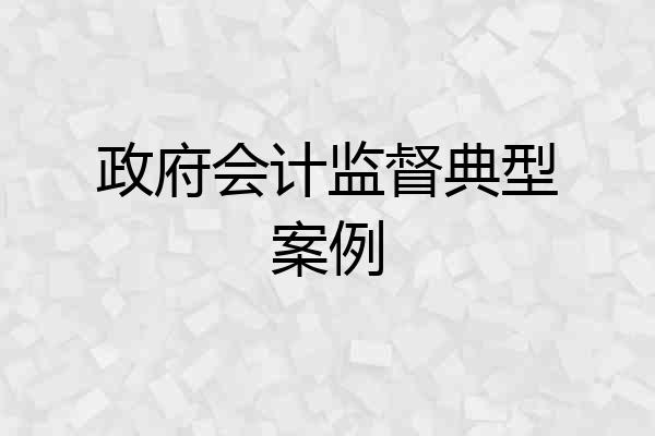 政府会计监督典型案例
