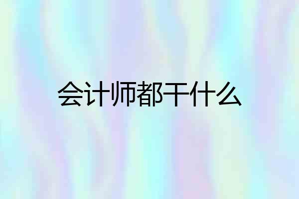 会计师都干什么