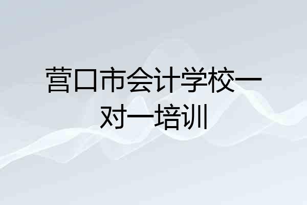 营口市会计学校一对一培训