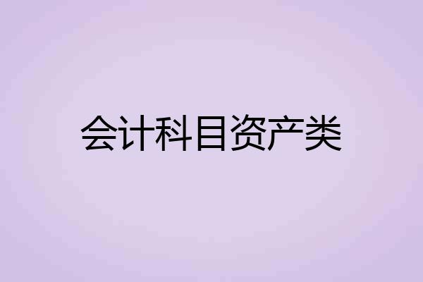 会计科目资产类