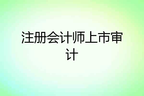 注册会计师上市审计