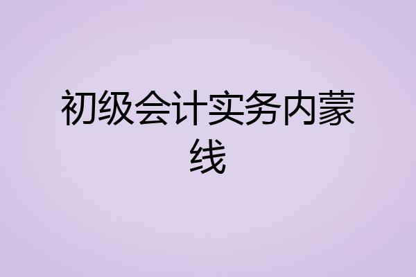 初级会计实务内蒙线