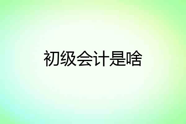 初级会计是啥