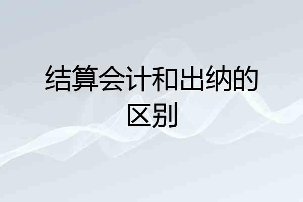 结算会计和出纳的区别