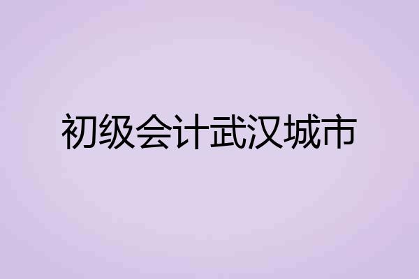 初级会计武汉城市