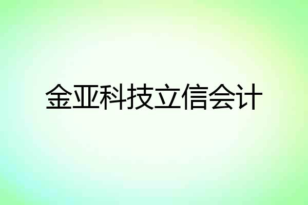金亚科技立信会计