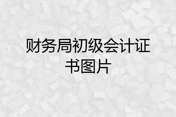 财务局初级会计证书图片