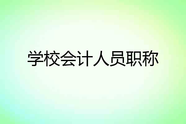 学校会计人员职称