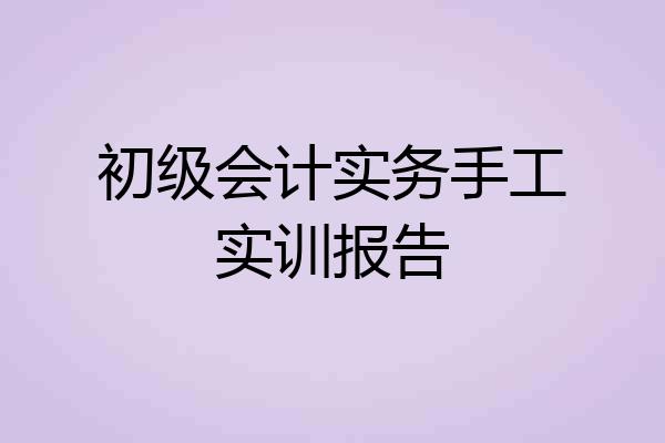 初级会计实务手工实训报告