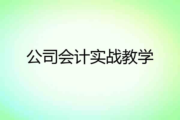 公司会计实战教学