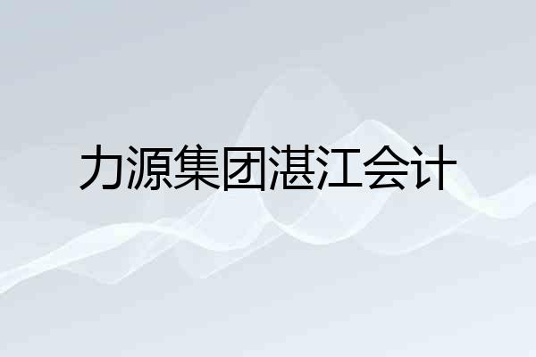 力源集团湛江会计