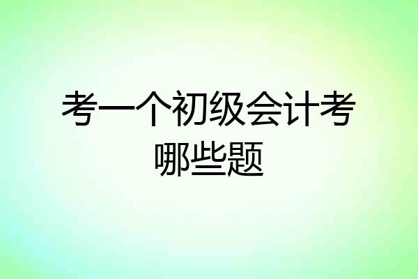 考一个初级会计考哪些题