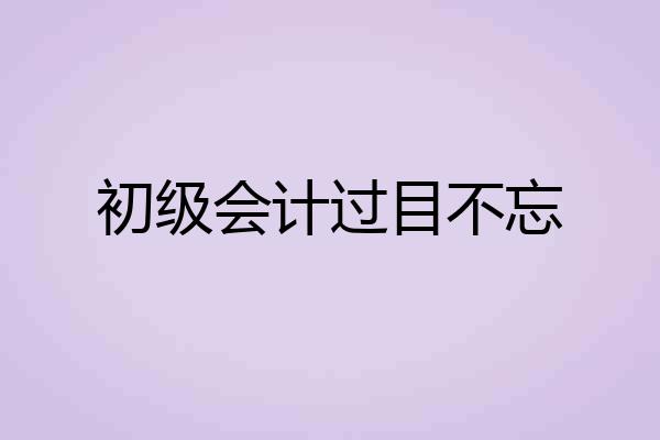 初级会计过目不忘