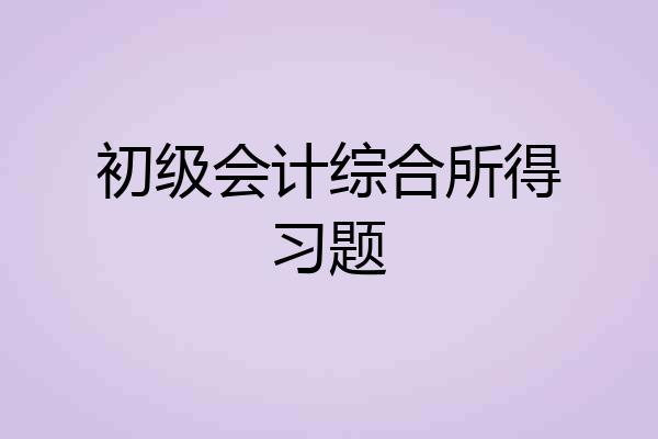 初级会计综合所得习题