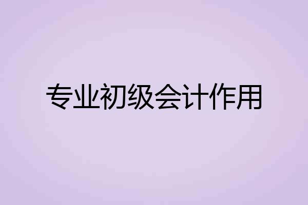 专业初级会计作用