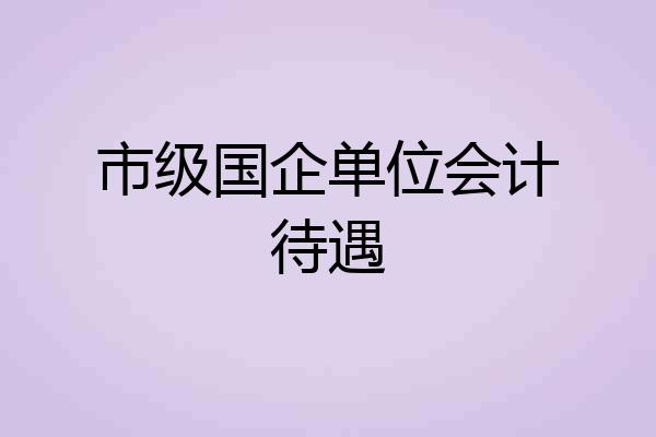 市级国企单位会计待遇