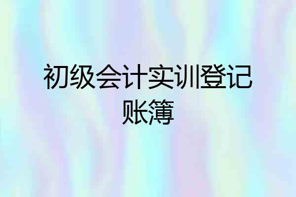 初级会计实训登记账簿