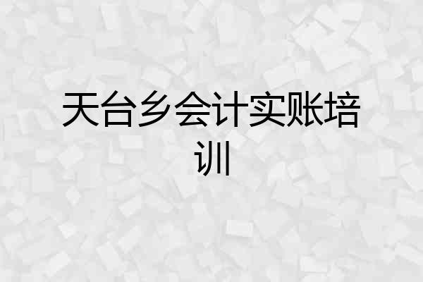 天台乡会计实账培训
