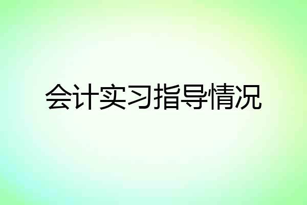 会计实习指导情况