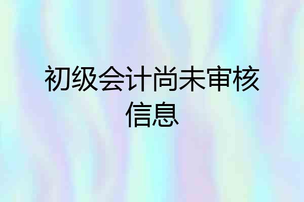初级会计尚未审核信息