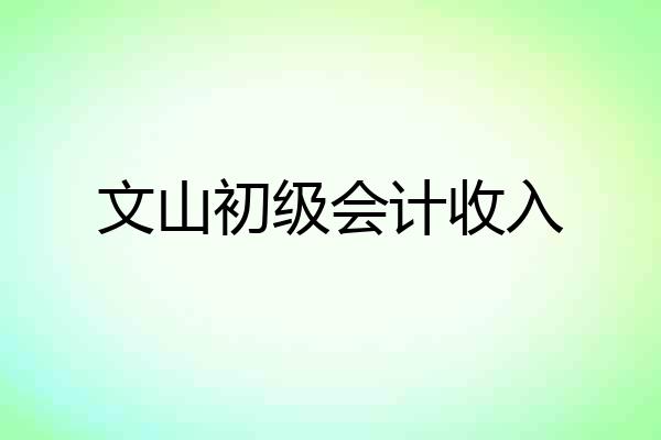文山初级会计收入