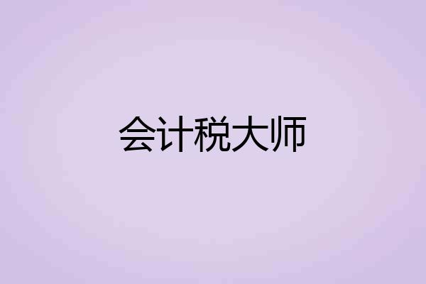 会计税大师