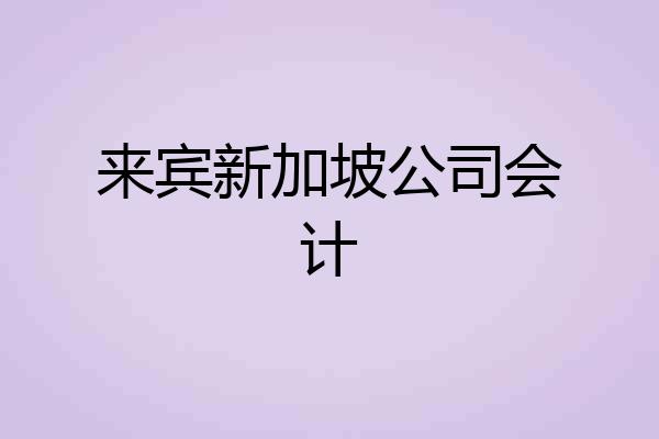 来宾新加坡公司会计