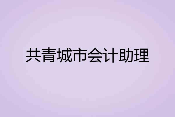 共青城市会计助理