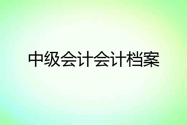 中级会计会计档案