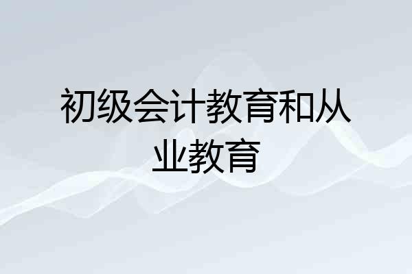 初级会计教育和从业教育