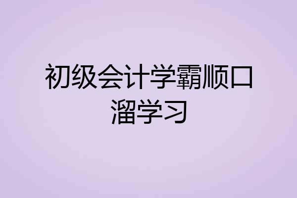 初级会计学霸顺口溜学习
