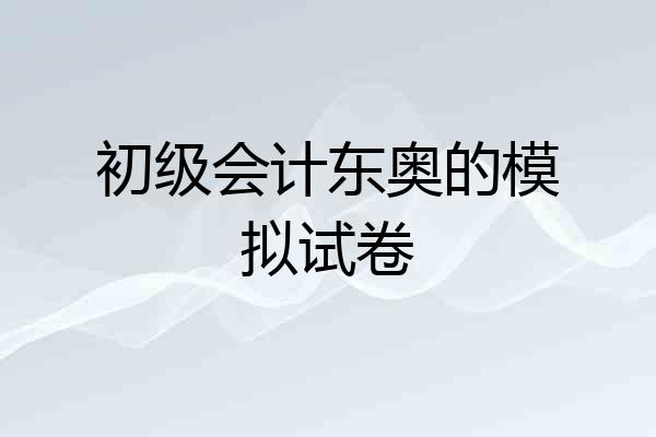 初级会计东奥的模拟试卷