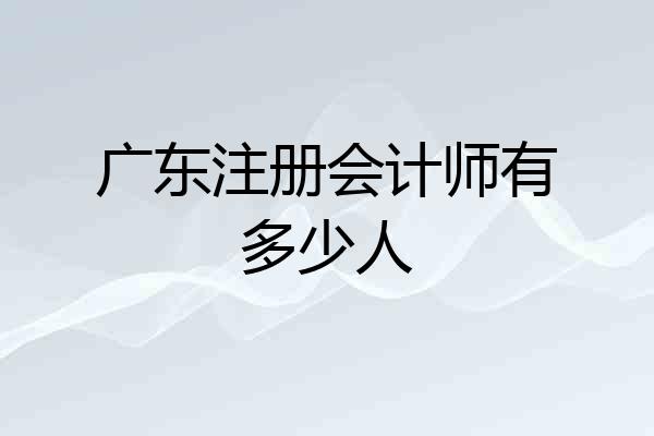 广东注册会计师有多少人
