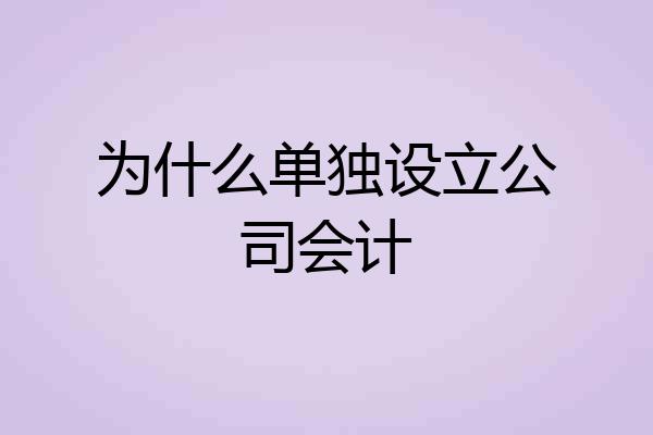 为什么单独设立公司会计