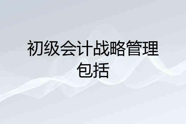初级会计战略管理包括