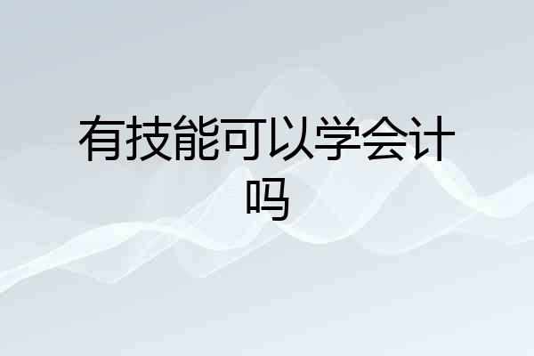 有技能可以学会计吗