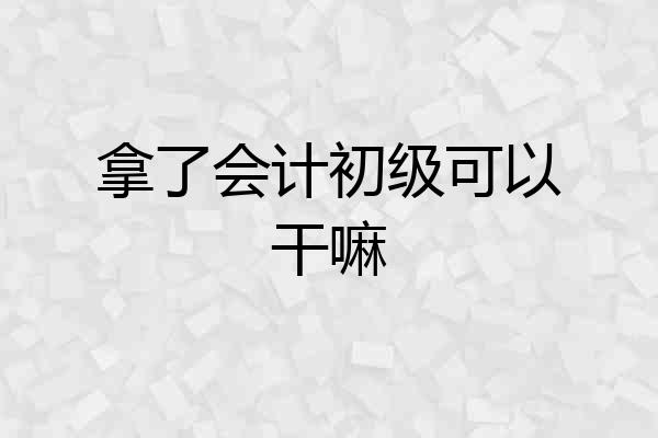 拿了会计初级可以干嘛