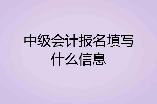 中级会计报名填写什么信息