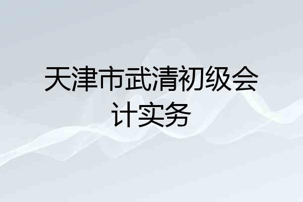 天津市武清初级会计实务