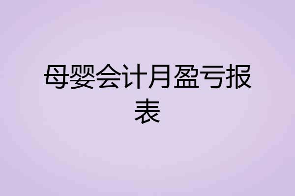 母婴会计月盈亏报表