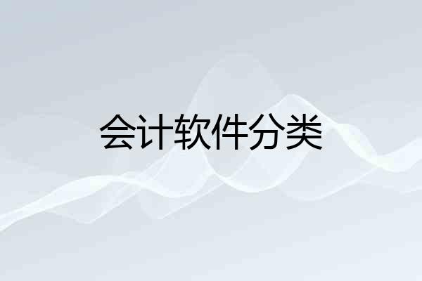 会计软件分类