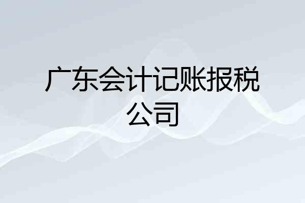 广东会计记账报税公司