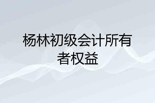 杨林初级会计所有者权益